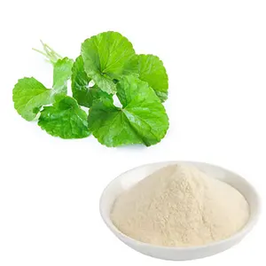 Anti Stretch Mark Cream - Asiaticoside (Centella Asiatica)