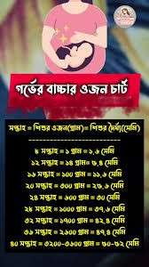 গর্ভের বাচ্চার ওজন ও উচ্চতা: মাসভেদে পরিবর্তন, গুরুত্ব ও যত্ন